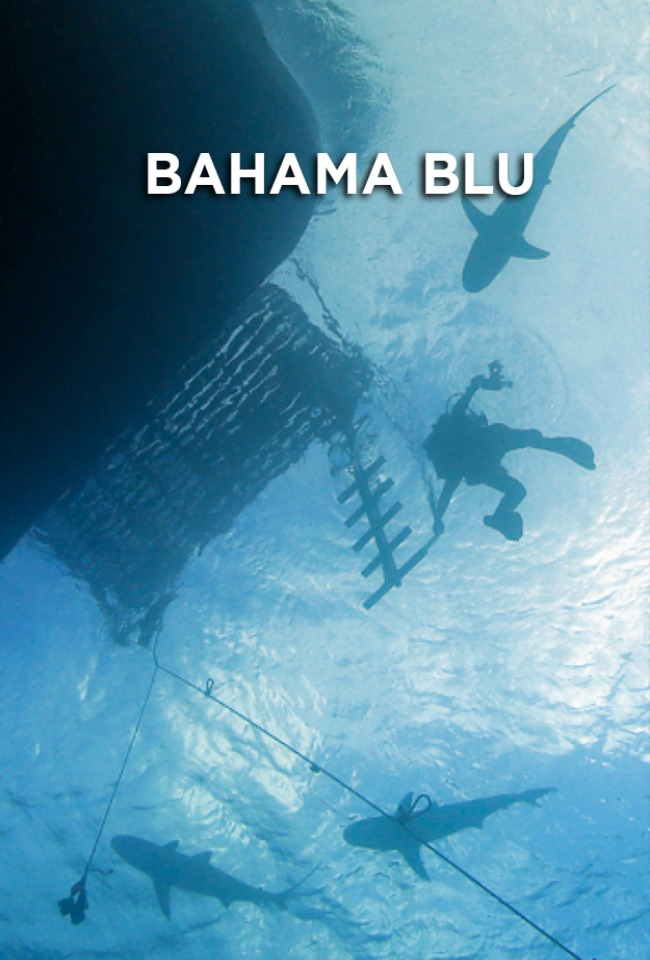 Bahama Blu