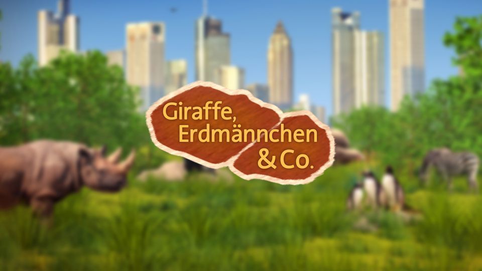 Giraffe, Erdmännchen & Co. (68)