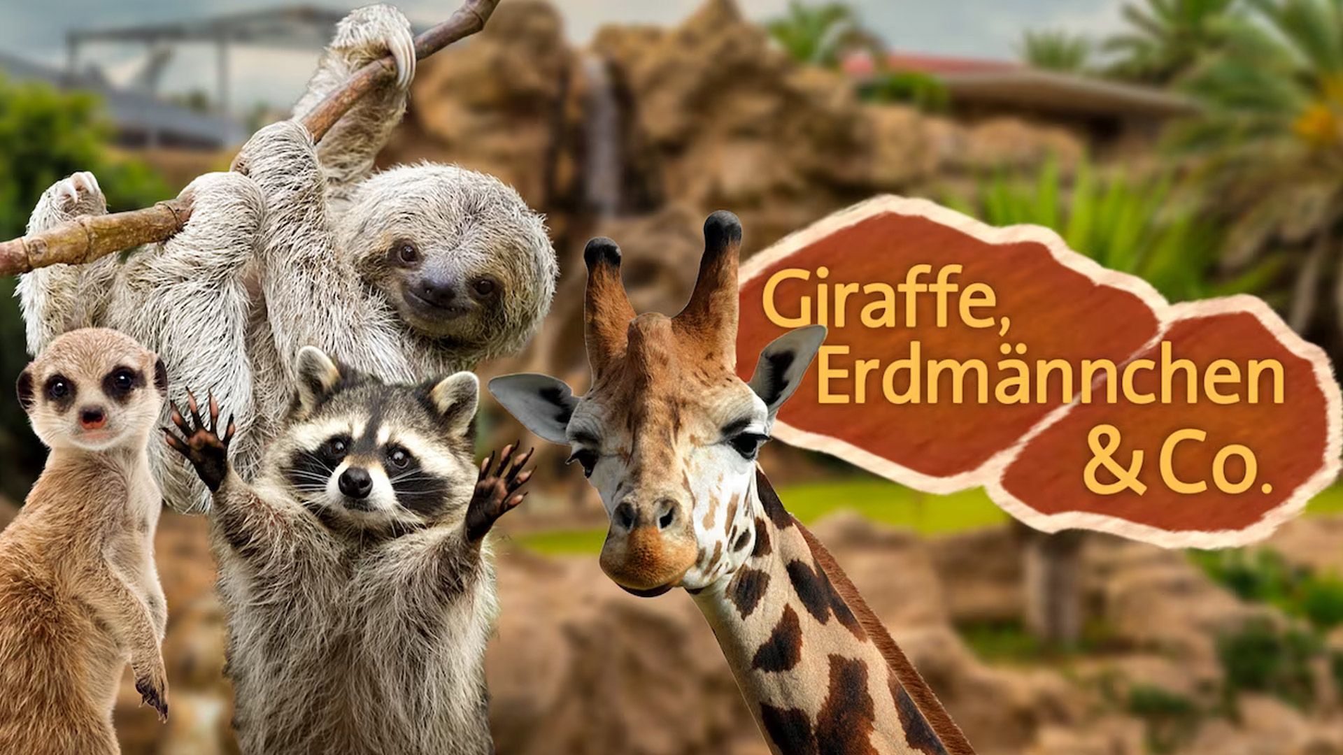 Giraffe, Erdmännchen & Co. (87/124)