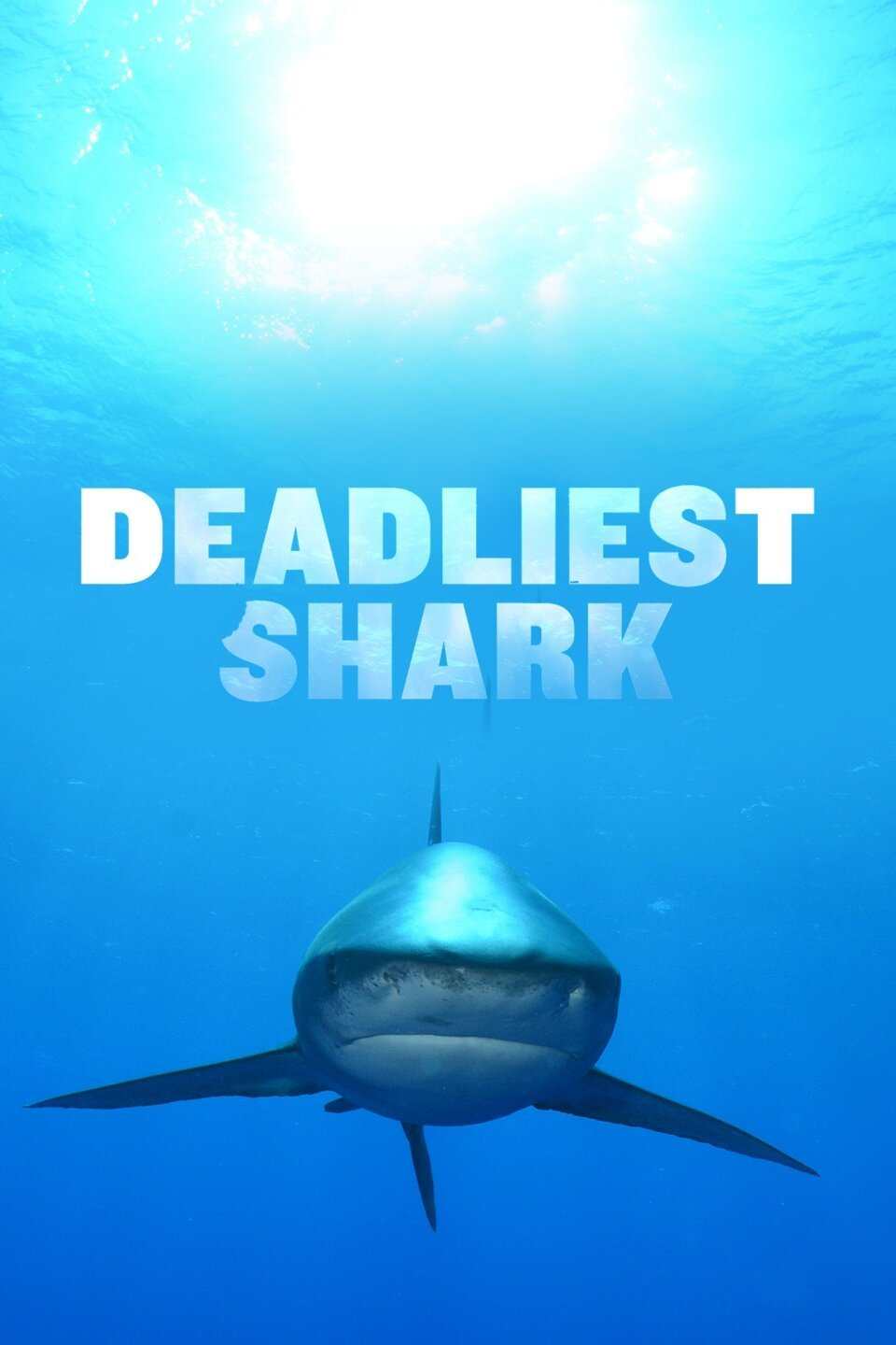 Deadliest Sharks