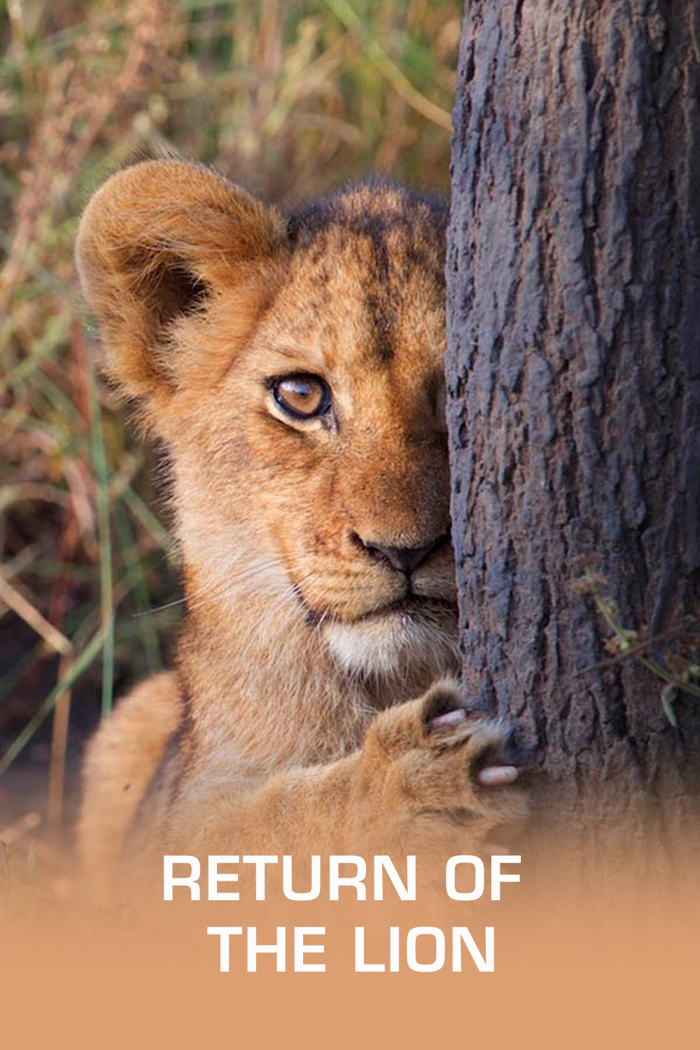 Return of the Lion