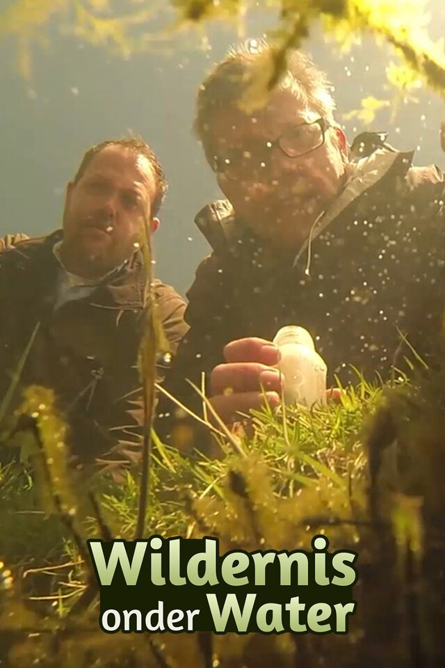 Wildernis onder Water