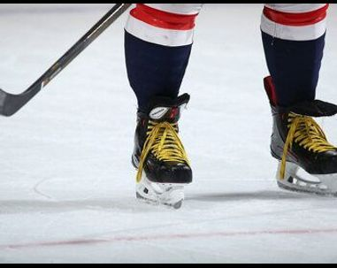 Hockey sur glace : Championnat du monde