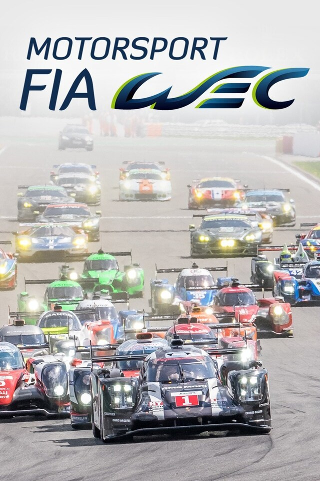 FIA World Endurance Championship Series