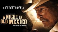 Noć u Starome Meksiku, američko-španjolski film (2013.) (12)