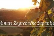 Pričom po Zagrebačkoj županiji