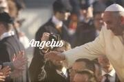Angelus: Vatikan