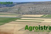 Agroistra