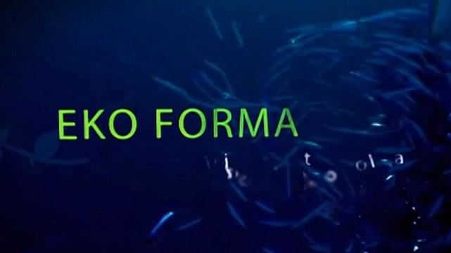 Eko forma