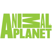 Animal Planet