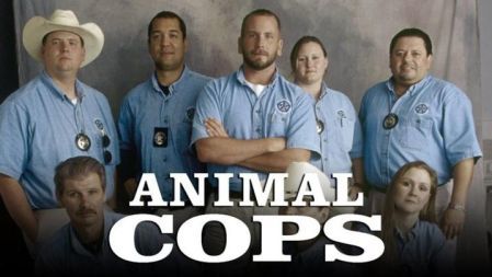 Animal Cops Philadelphia (Series 12): Hole-in-the-Neck Cat (Episode 6)