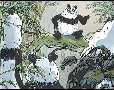 Pandas dans la brume