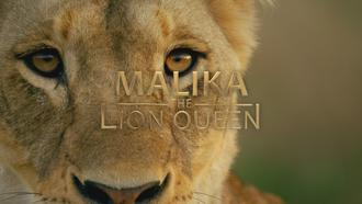 Malika - Die Königin der Löwen