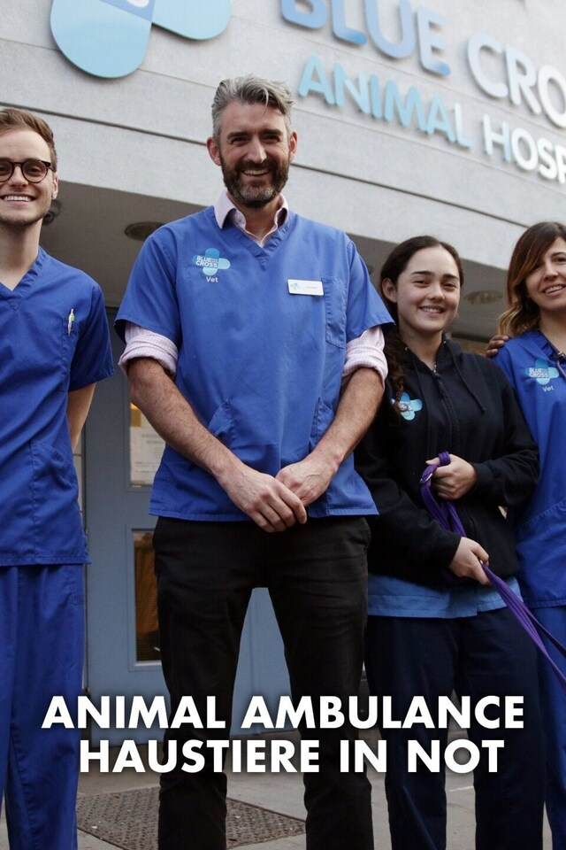Animal Ambulance - Haustiere in Not