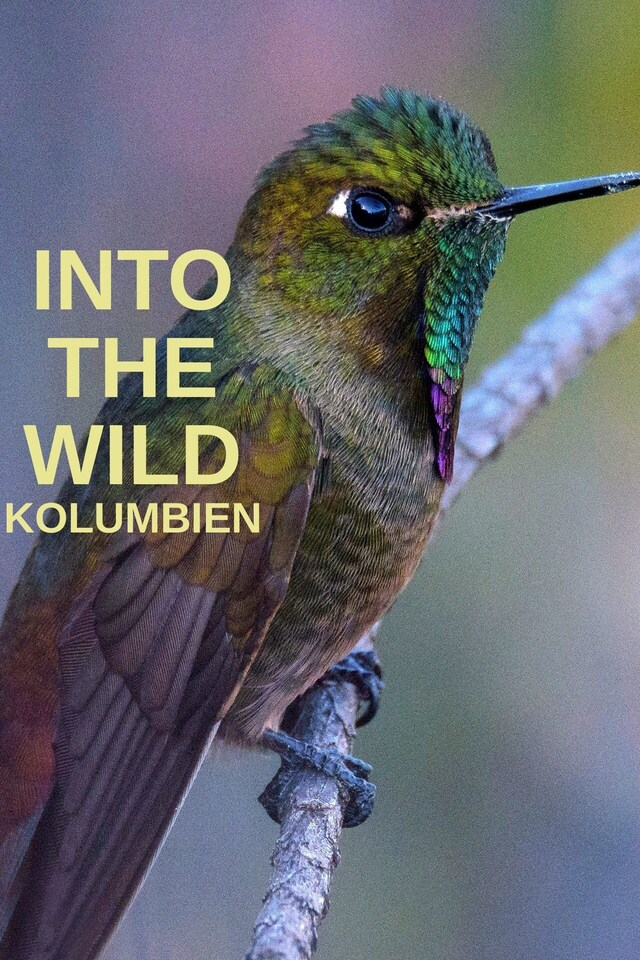 Into the Wild: Kolumbien