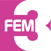 FEM3