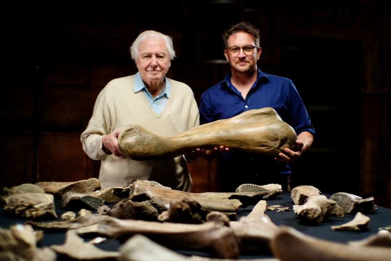 Attenborough és a mamut temető