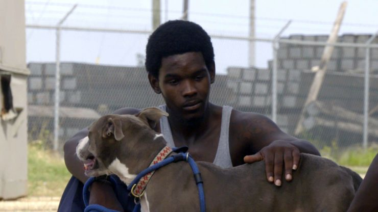 Pit Bulls & Parolees - Season 9