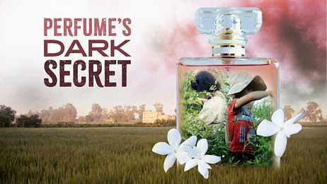 Perfume's Dark Secret