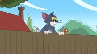 Tom & Jerry: Downton Tabby