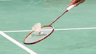 Badminton: Indonesia Open