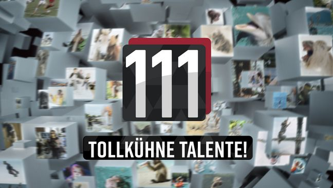 111 modige talenter