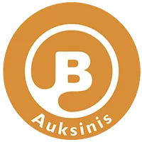 Balticum Auksinis