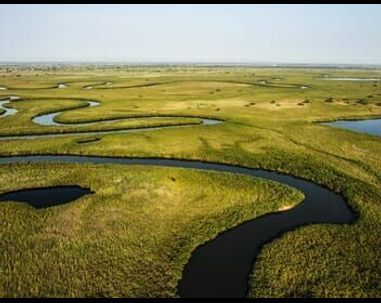 Okavango : Le fleuve des rêves