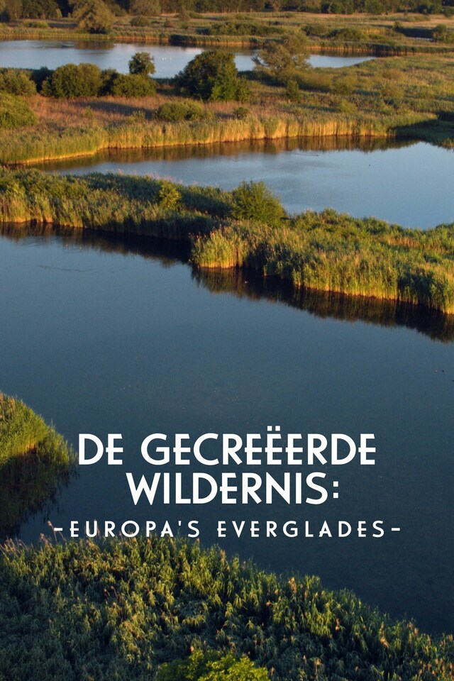 De gecreëerde wildernis: Europa's Everglades