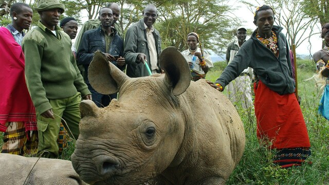 Kenia's wilde dieren