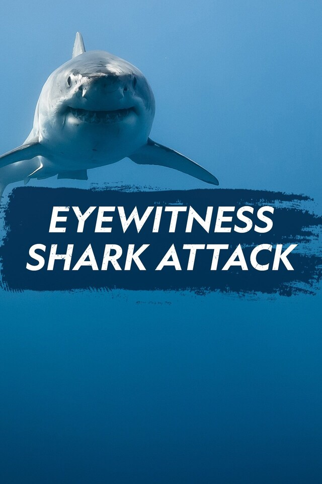 Eyewitness Shark Attack