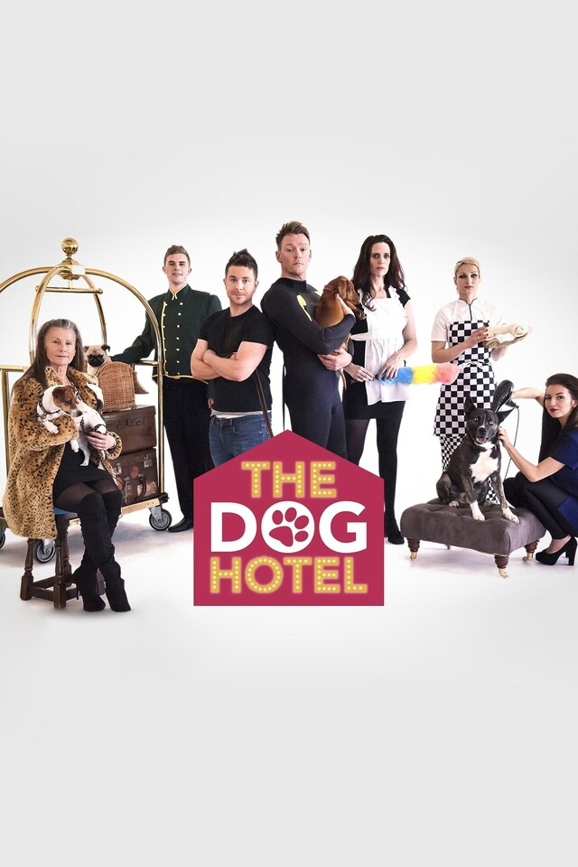 The Dog Hotel
