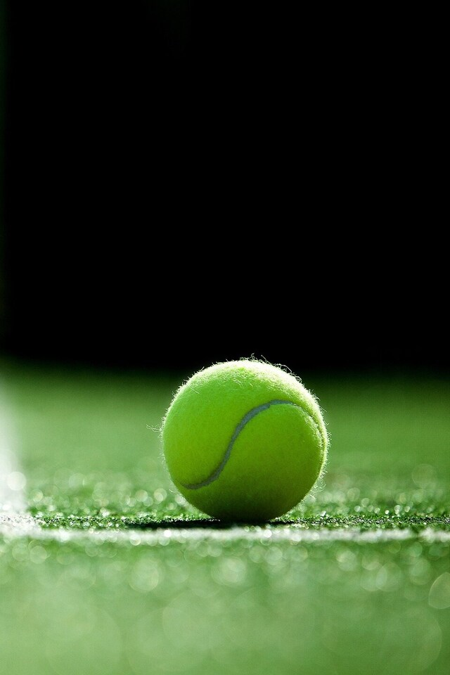 Tennis: Terra Wortmann Open 2024
