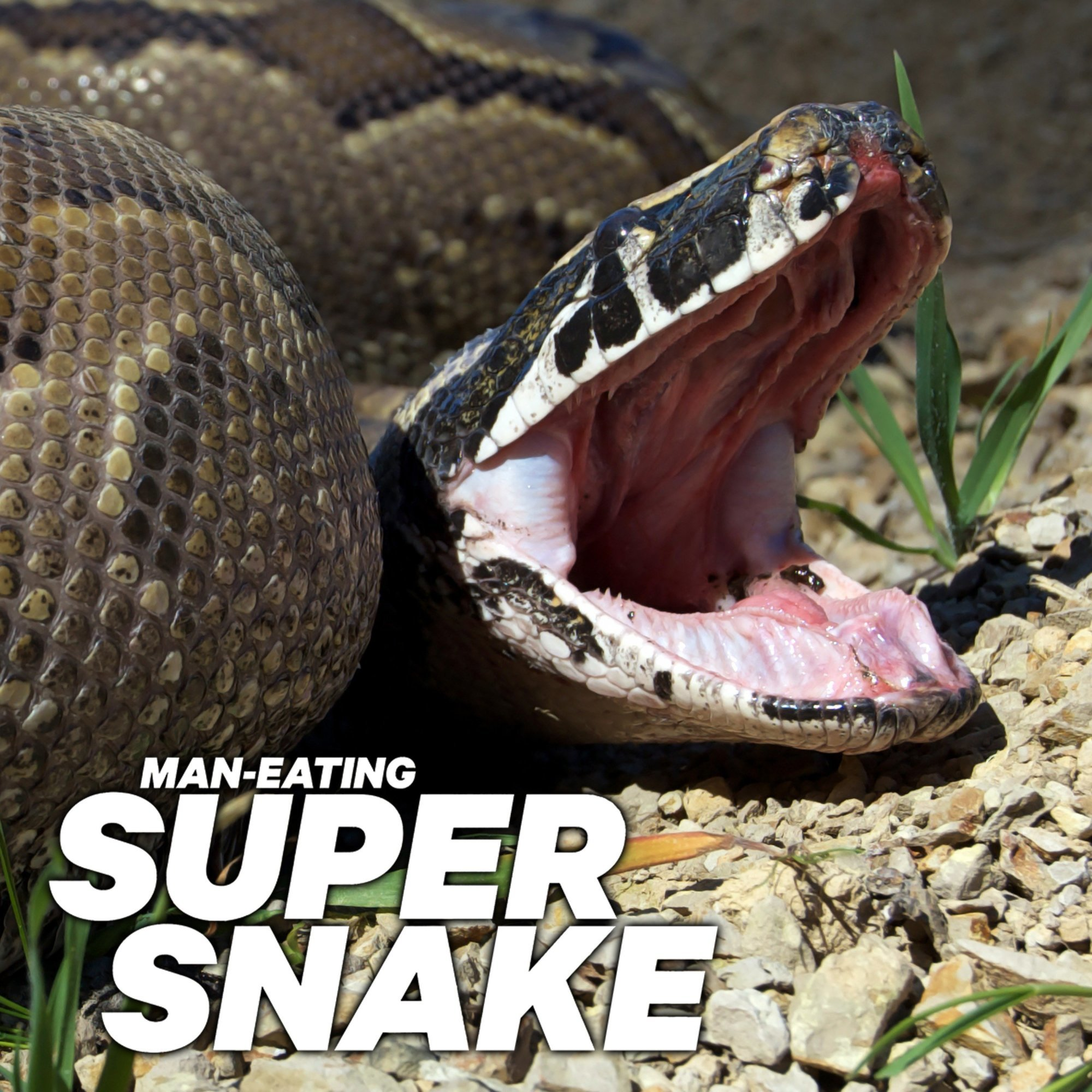 Man-Eating Super Snake