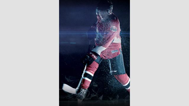 NHL: Stanley Cup, TBA - TBA