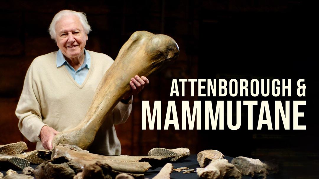 Attenborough og mammutgravplassen