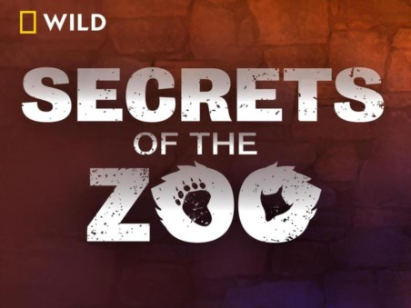 Secrets Of the Zoo: World Animal Days