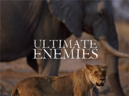 Ultimate Enemies (Revealed)