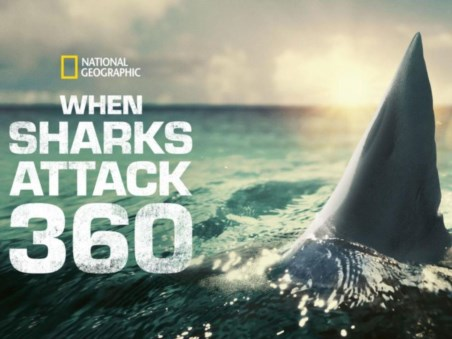 When Sharks Attack 360