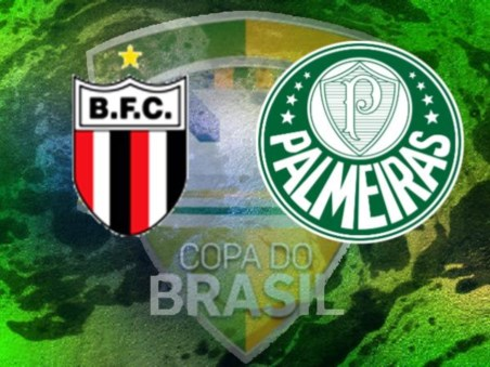 Copa do Brasil - Botafogo SP x Palmeiras