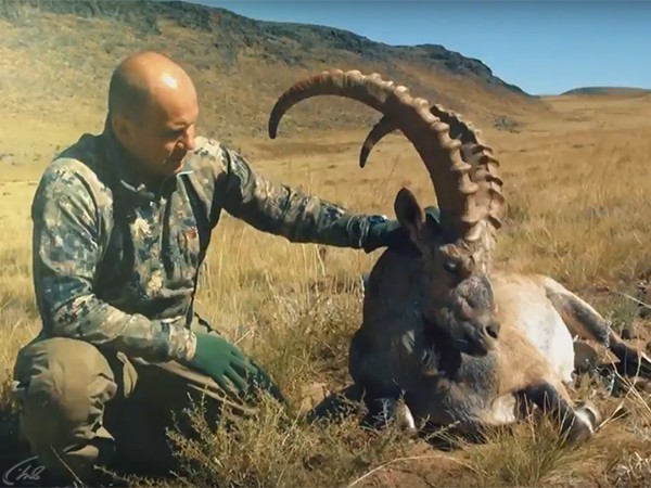 Горная охота Эдуарда Бендерского. Среднеазиатский козерог в Таджикистане (16+)
