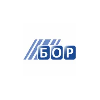 TV Bor