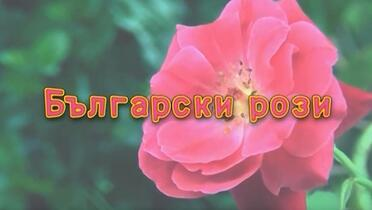 Bugarske ruže