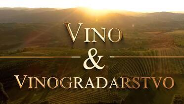 Vino i vinogradarstvo