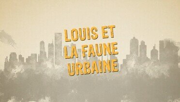 Louis et la faune urbaine