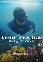 Pod povrchem: Bitva o korálové útesy