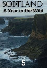Skotsko: Rok v divočině