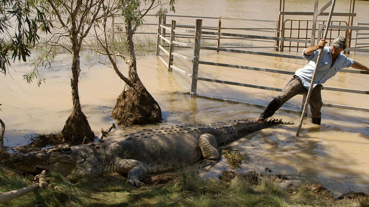 Krotilec pošastnih krokodilov: Krokodili na suhem