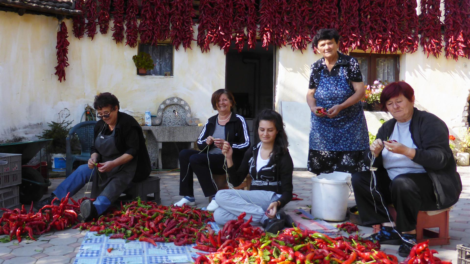 Za sosedovo mizo: V Severni Makedoniji, kuharsko-popotniška oddaja, ponovitev