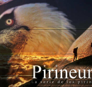 Pirineum